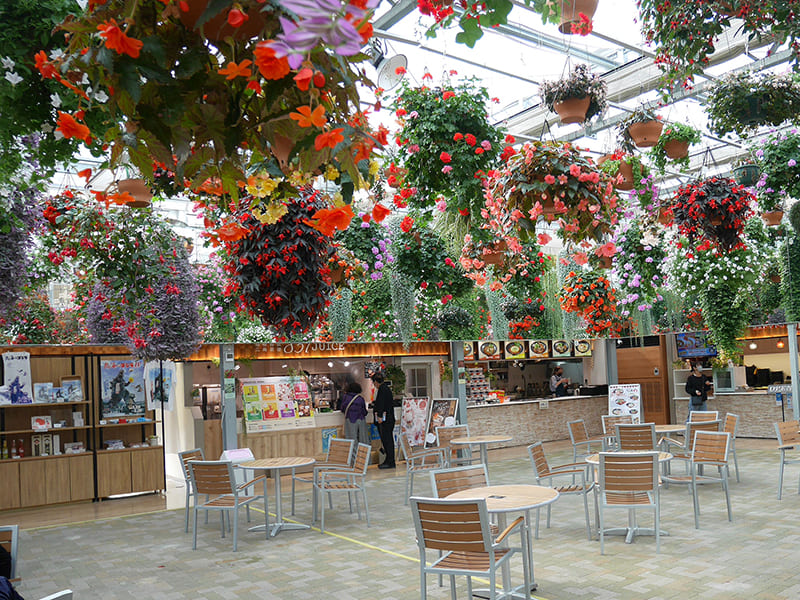 スカイガーデン