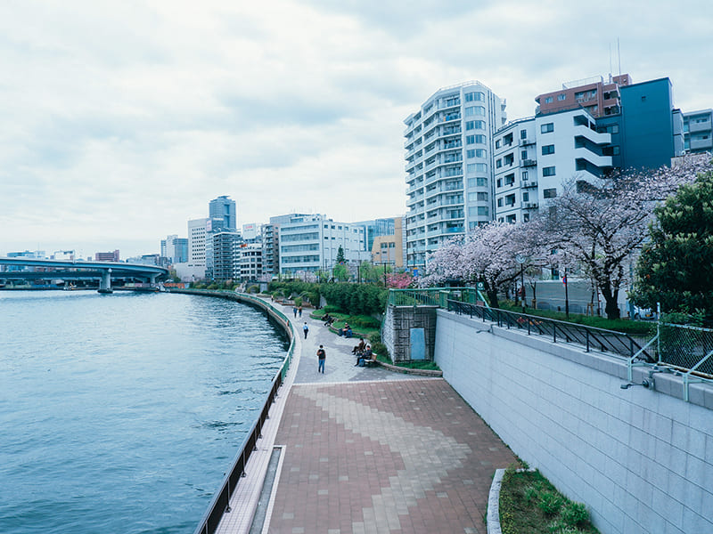 隅田川沿い