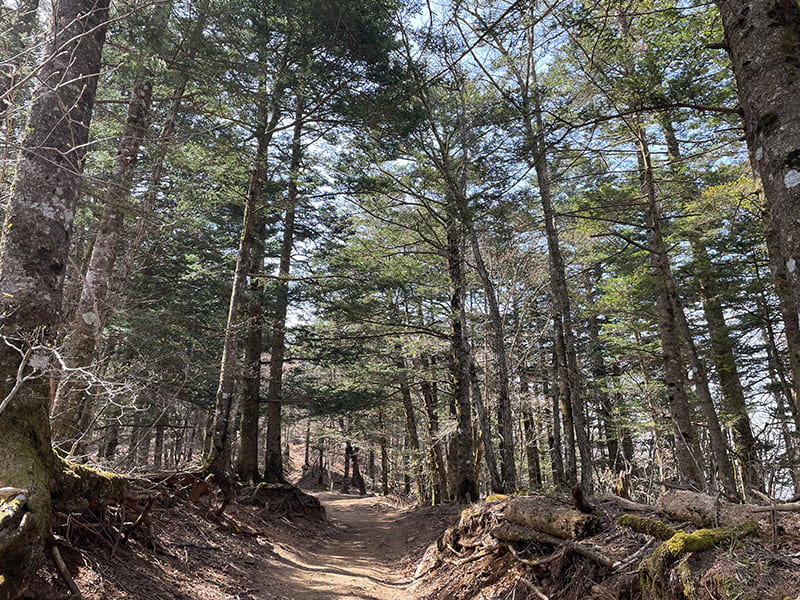 三ツ峠登山道