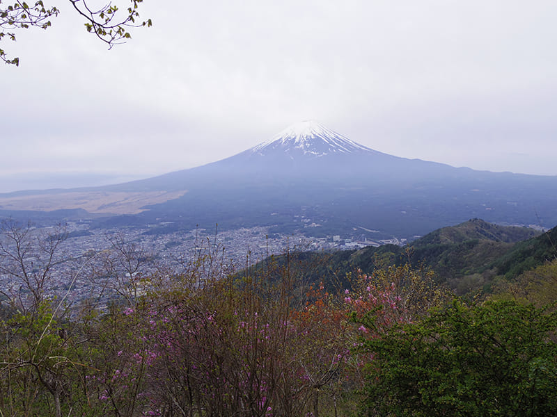 新倉山分岐周辺