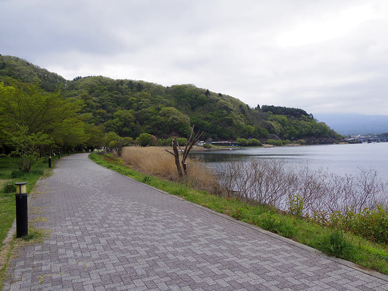 河口湖湖畔