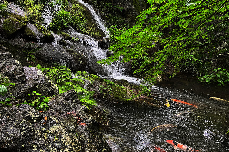 浜松城公園の日本庭園