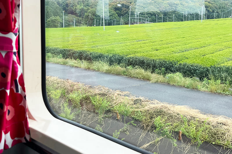 New スローライフトレイン車窓