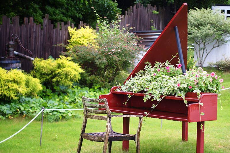 ドロフィーズキャンパス