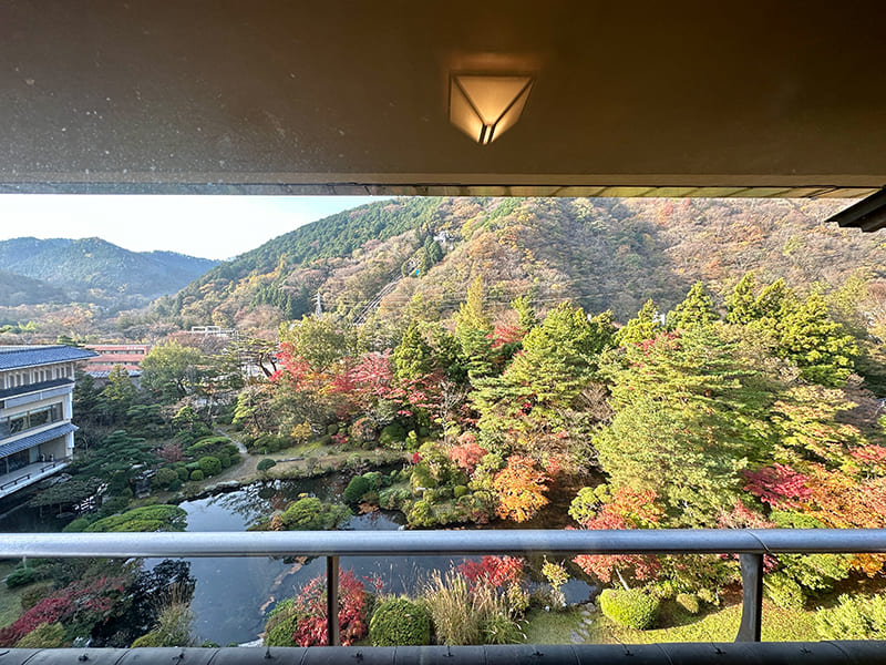 客室からの眺め