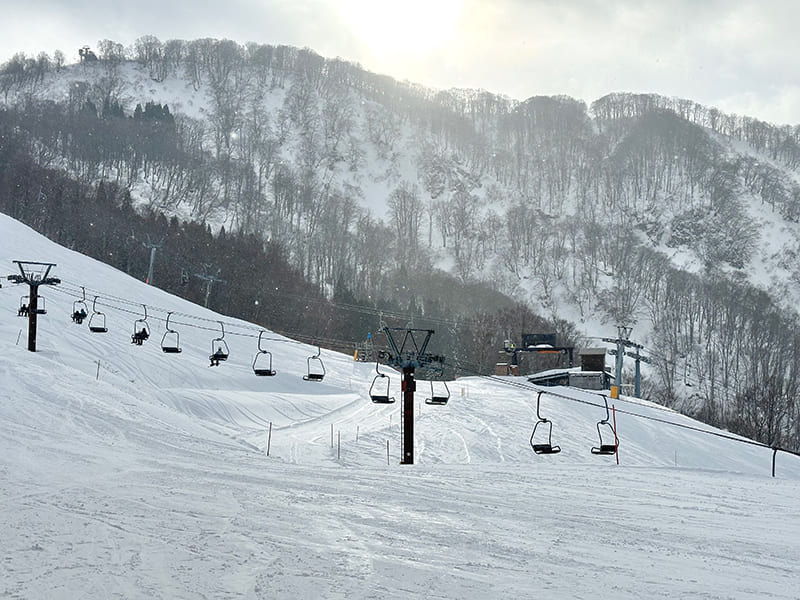 高原エリア　ゲレンデ