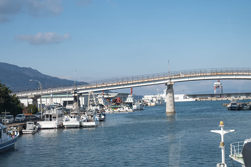 金ヶ崎緑地エリア