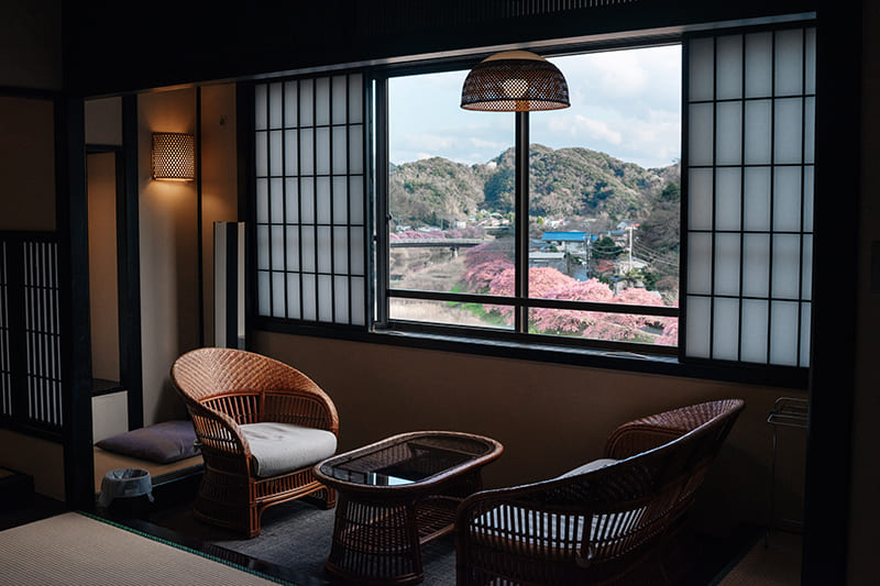 窓から見える河津桜