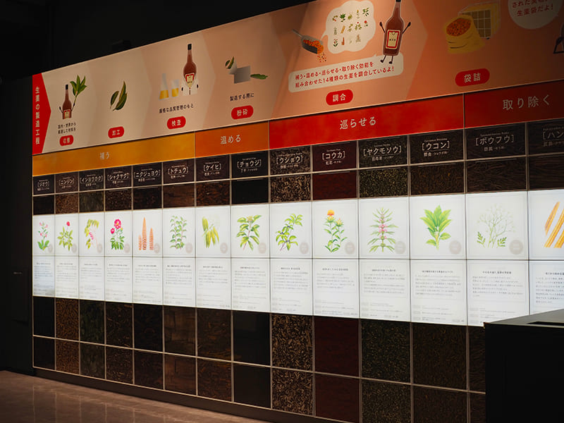 養命酒に使われる生薬の役割