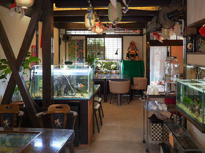 きんぎょcafé～柳楽屋・陽だまり～