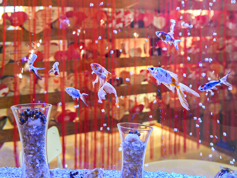 奈良金魚ミュージアム