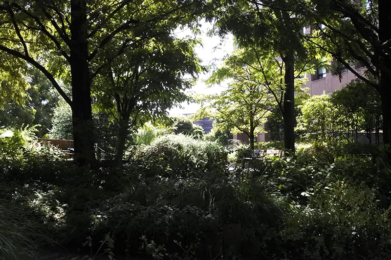 恵比寿ガーデンプレイス　センタープラザの裏