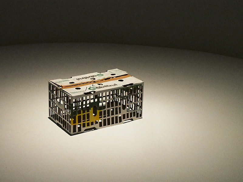 潘逸舟《ほうれん草たちが日本語で夢を見た日》