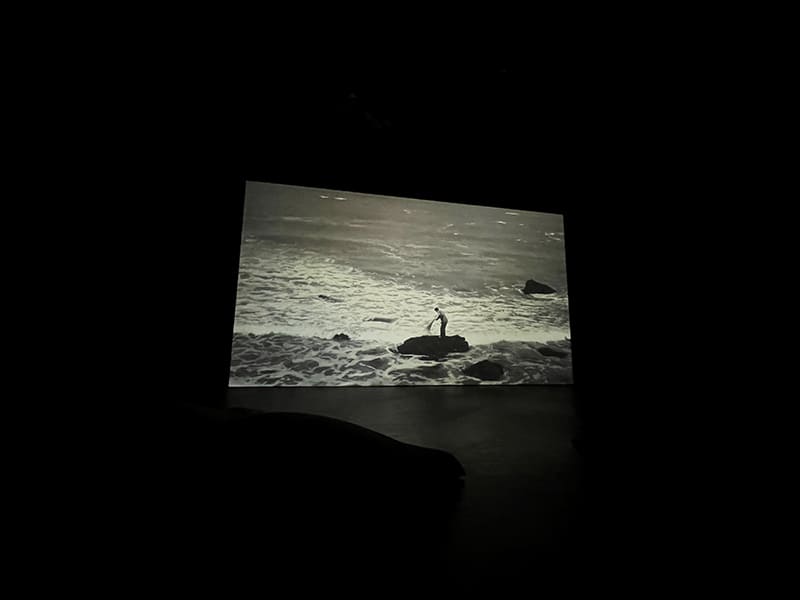 潘逸舟《波を掃除する人》