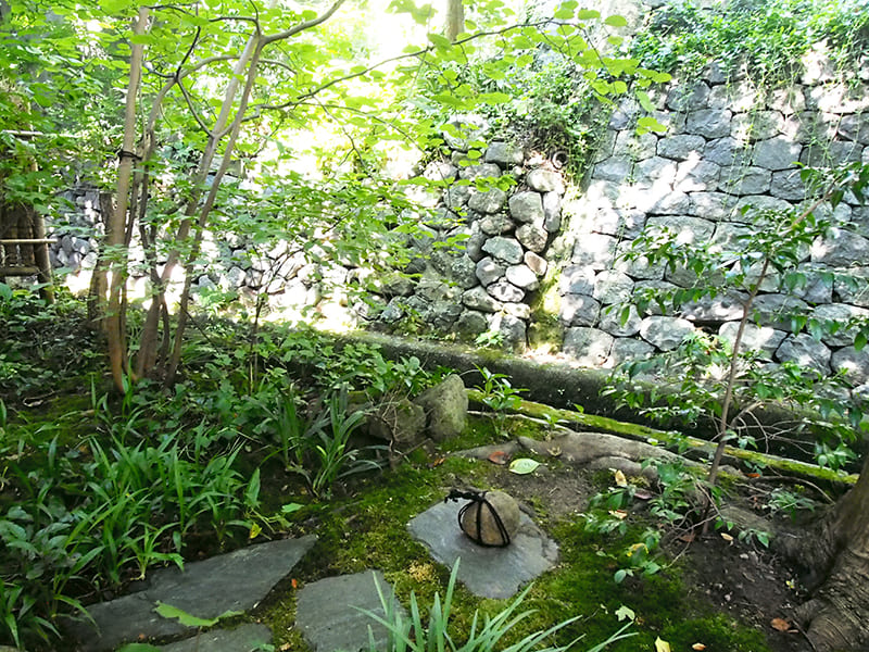 和甘味 つぼみ　中庭