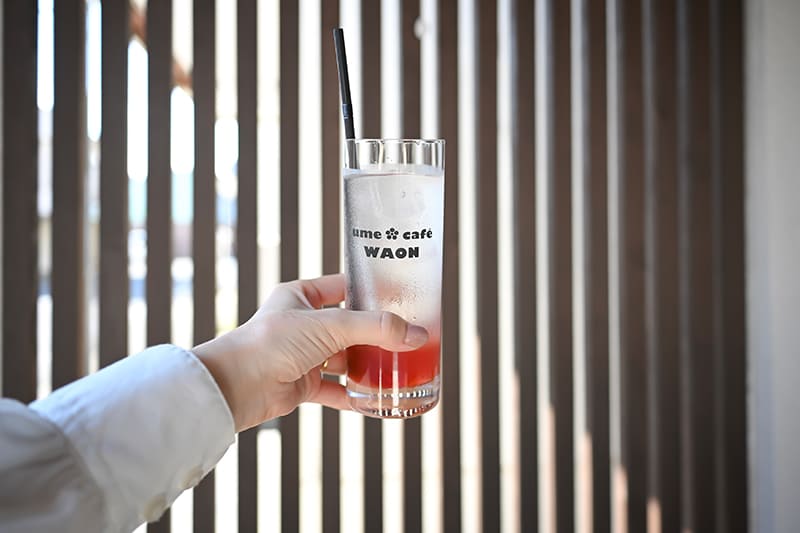 「露茜」を使用した梅ソーダ
