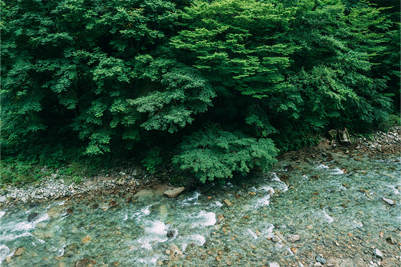 東北新幹線の車窓