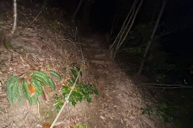 戌山城址への道