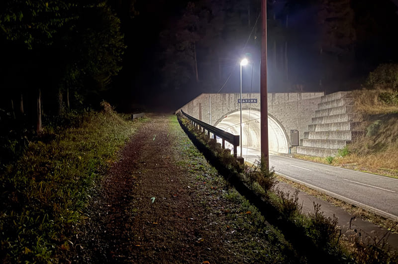戌山城址への道