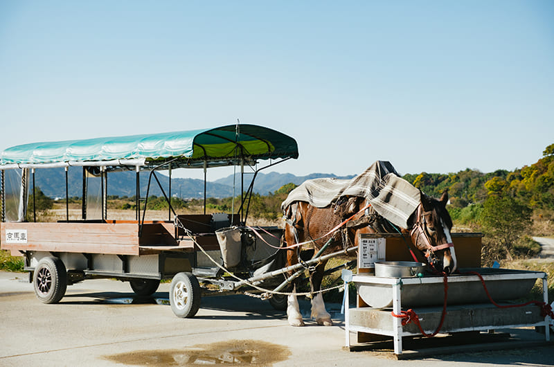 駅の近くの馬車