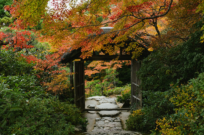 大河内山荘庭園