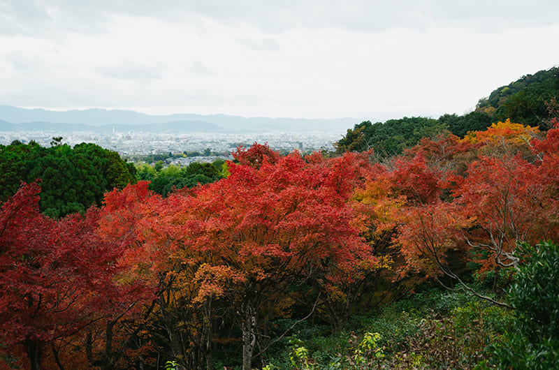 大河内山荘庭園頂上からの景色