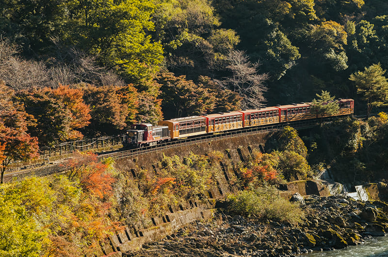 保津峡駅から見えるトロッコ列車