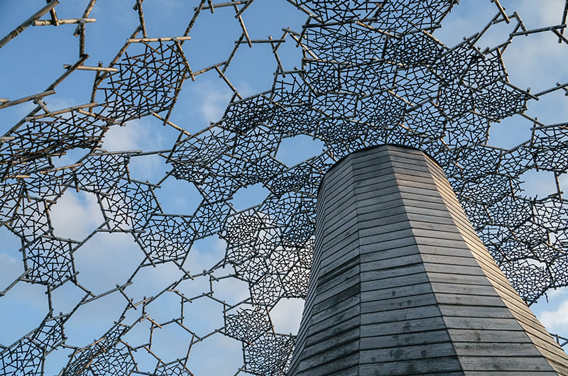 六甲枝垂れ越しの空