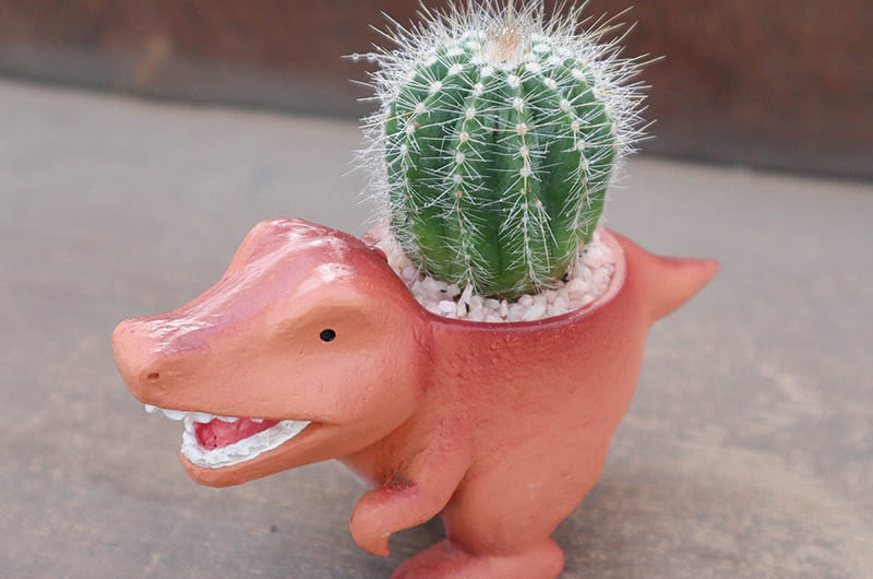 筆者が買ったお土産