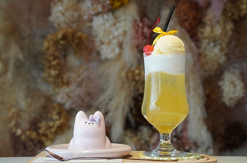 ねこプリンと推しフロート