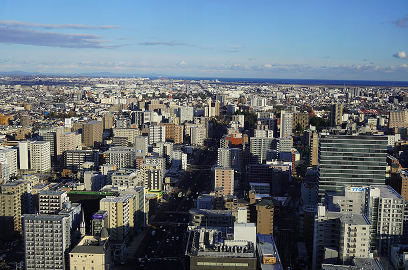 展望台からの景色