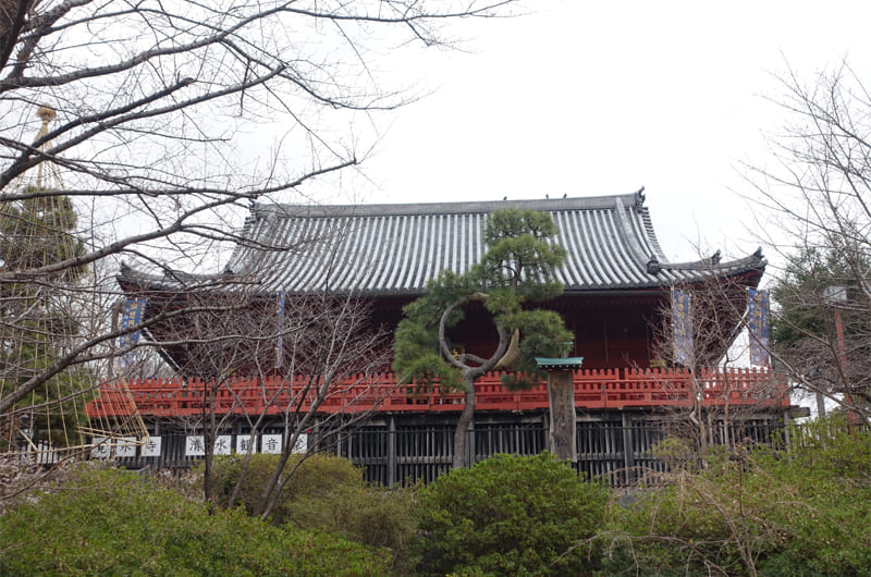 清水観音堂と「月の松」