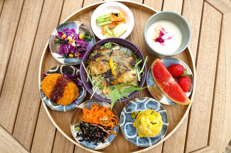 EVERYONEs CAFE Garden Plate（フィッシュ）