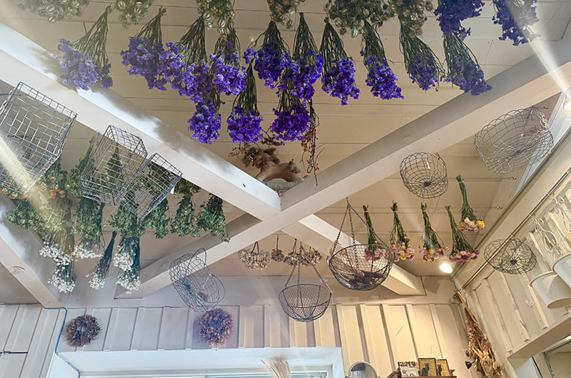 ドライフラワー