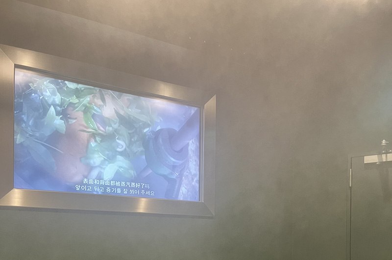 茶畑の葉がお茶になるまで