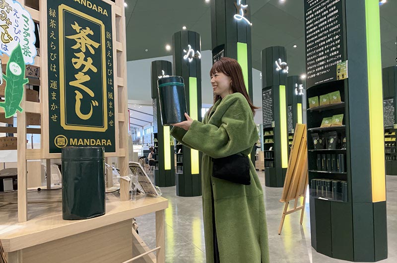 MANDARA茶柱　筆者