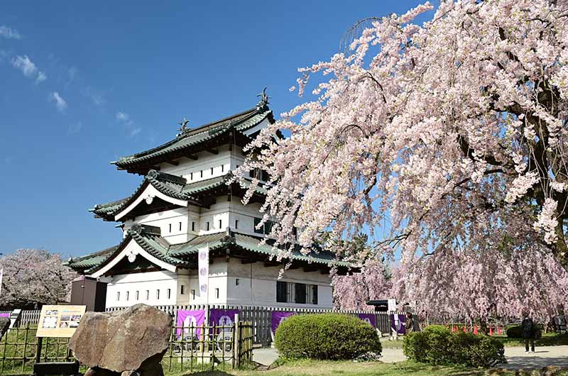 桜満開時の弘前公園（写真提供：弘前市）