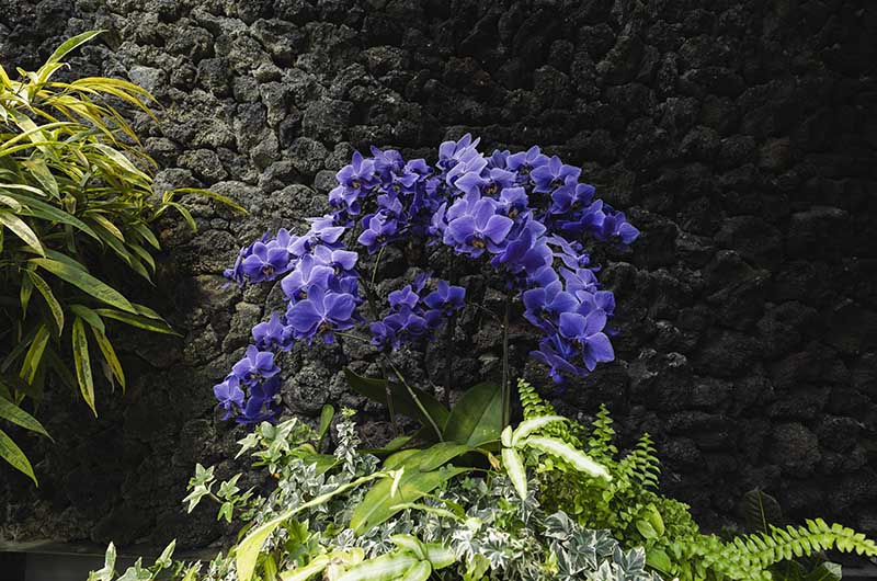 神戸市立須磨離宮公園