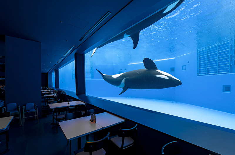 ブルーオーシャン オルカスタディアム　店内