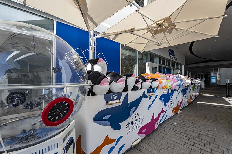 ブルーフラッグ　オルカくじ