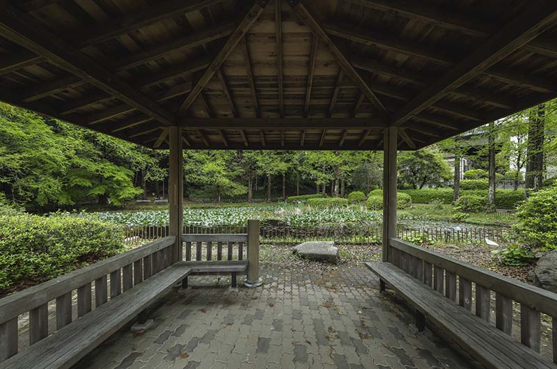 神戸市立須磨離宮公園