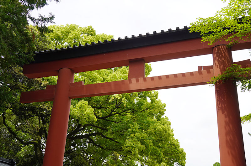 氷川参道の鳥居