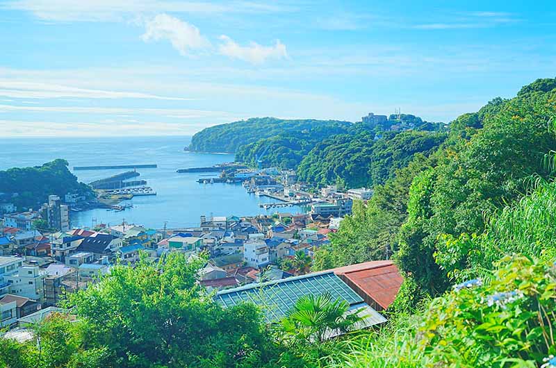 背戸道から眺める真鶴の町