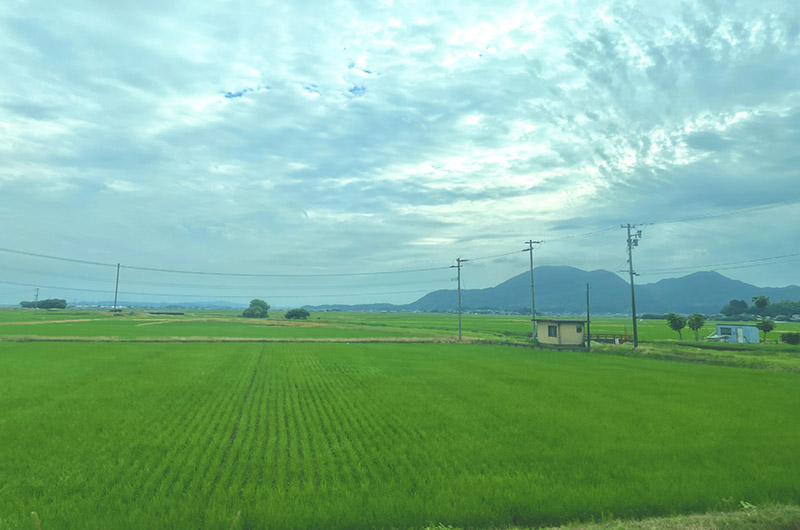 越後線からの車窓