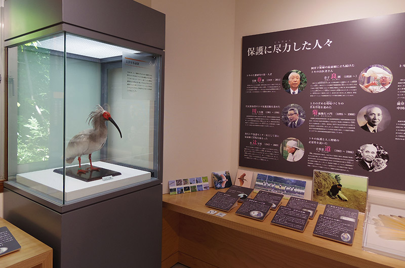 トキ資料展示館