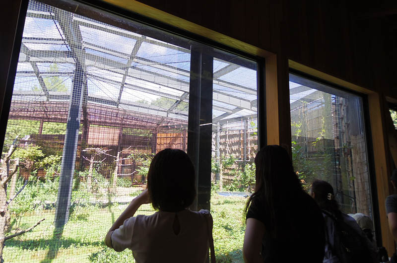 トキふれあいプラザ