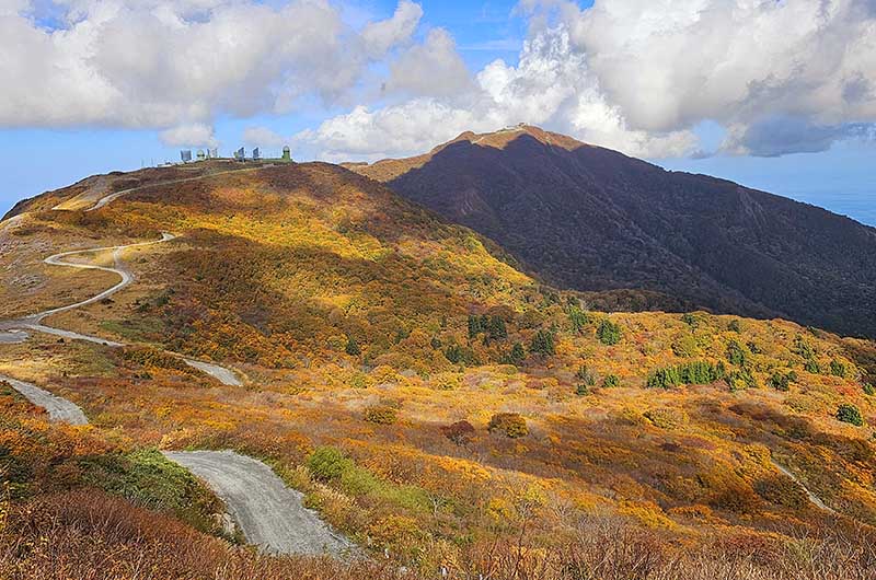 ドンデン高原の紅葉（写真提供：佐渡観光交流機構）