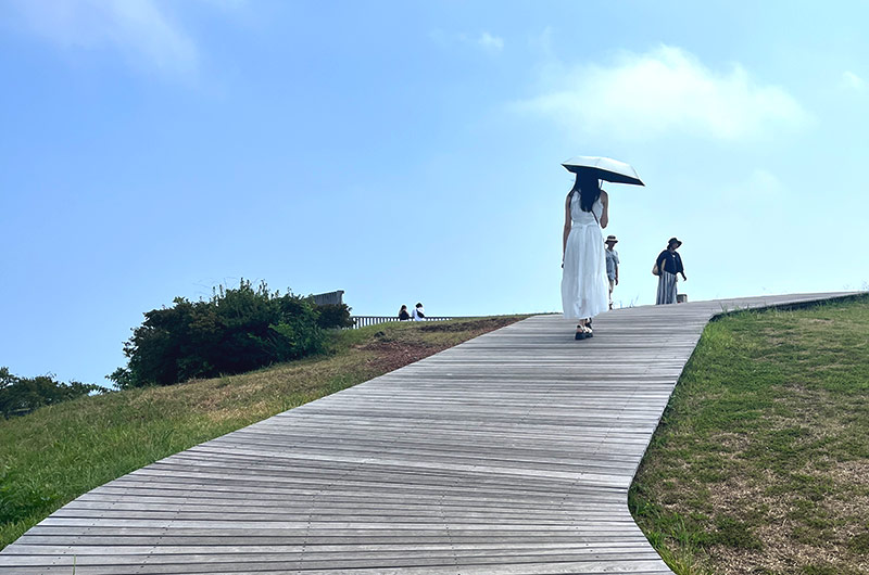 木製の遊歩道　石井凜