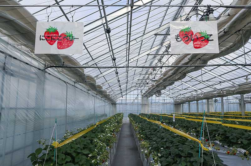 「にこにこベリー」と「もういっこ」