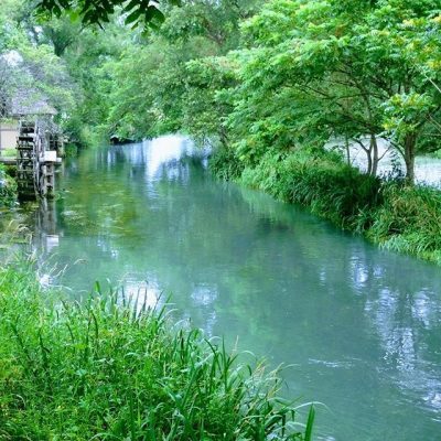 大王わさび農場　安曇野市